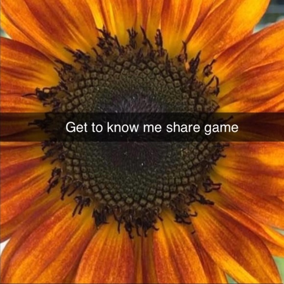 FULL PLEASE LIKE NEW LISTING Share for Share Please comment for share backs 🌻 - Picture 3 of 10